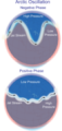 Thumbnail for version as of 18:54, 27 October 2025
