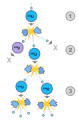 Thumbnail for version as of 22:08, 9 January 2026