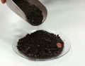 Thumbnail for version as of 19:04, 27 October 2025