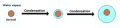 Thumbnail for version as of 19:06, 27 October 2025