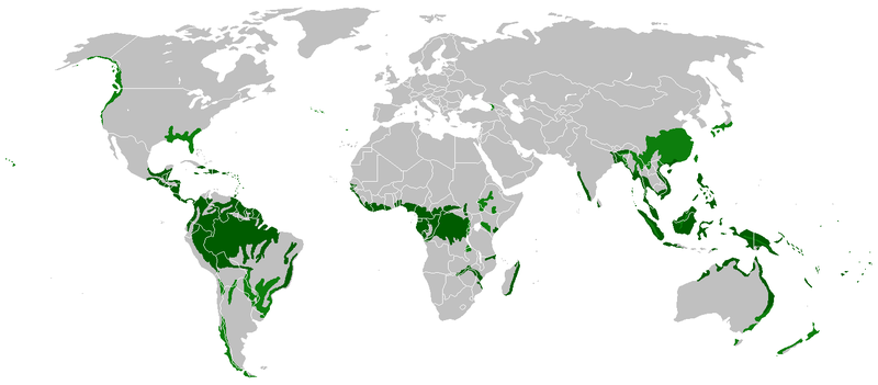 File:Rain forest location map.png