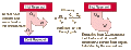 Thumbnail for version as of 18:48, 27 October 2025