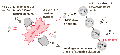 Thumbnail for version as of 18:47, 27 October 2025