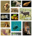 Thumbnail for version as of 18:51, 27 October 2025