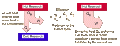 Thumbnail for version as of 18:48, 27 October 2025