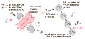 Thumbnail for version as of 18:47, 27 October 2025