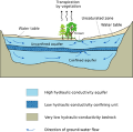 Thumbnail for version as of 21:41, 9 January 2026