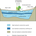 Thumbnail for version as of 22:08, 9 January 2026