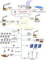 Thumbnail for version as of 19:05, 27 October 2025
