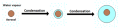 Thumbnail for version as of 19:06, 27 October 2025