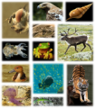 Thumbnail for version as of 22:12, 9 January 2026