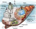 Thumbnail for version as of 19:02, 27 October 2025