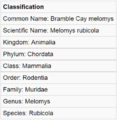 Bramble classification.PNG