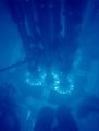 Thumbnail for version as of 21:35, 9 January 2026