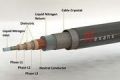 Thumbnail for version as of 21:34, 9 January 2026