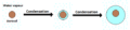 Thumbnail for version as of 19:06, 27 October 2025