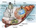 Thumbnail for version as of 19:02, 27 October 2025