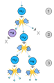 Thumbnail for version as of 22:08, 9 January 2026