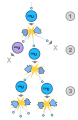 Thumbnail for version as of 21:48, 9 January 2026