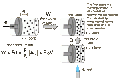 Thumbnail for version as of 22:01, 9 January 2026