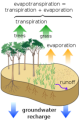 Thumbnail for version as of 18:54, 27 October 2025