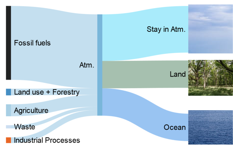 File:1200px-Anthropogenic carbon emission Sankey.png