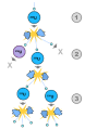 Thumbnail for version as of 22:10, 9 January 2026