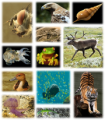 Thumbnail for version as of 22:04, 9 January 2026