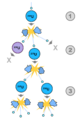 2000px-Fission chain reaction.svg.png