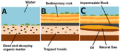Thumbnail for version as of 20:17, 9 January 2026