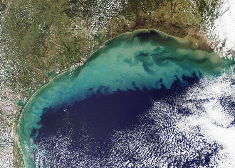 File:Sediment in the Gulf of Mexico (2).jpg