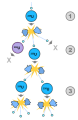 Thumbnail for version as of 21:48, 9 January 2026