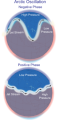 Thumbnail for version as of 18:54, 27 October 2025
