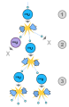 Thumbnail for version as of 18:51, 27 October 2025