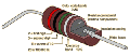 Thumbnail for version as of 18:47, 27 October 2025