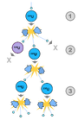 Thumbnail for version as of 18:51, 27 October 2025