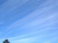 Thumbnail for version as of 22:03, 9 January 2026