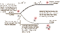 Thumbnail for version as of 18:56, 27 October 2025