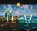 Thumbnail for version as of 22:16, 9 January 2026