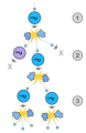 Thumbnail for version as of 22:08, 9 January 2026