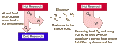 Thumbnail for version as of 20:17, 9 January 2026