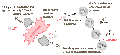 Thumbnail for version as of 18:47, 27 October 2025