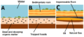 Thumbnail for version as of 18:48, 27 October 2025