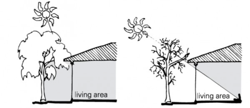 File:900px-Shading.png