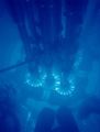 Thumbnail for version as of 18:59, 27 October 2025