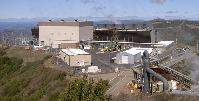 Fichier:Sonoma Plant.png