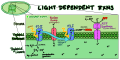 Thumbnail for version as of 22:15, 12 June 2026
